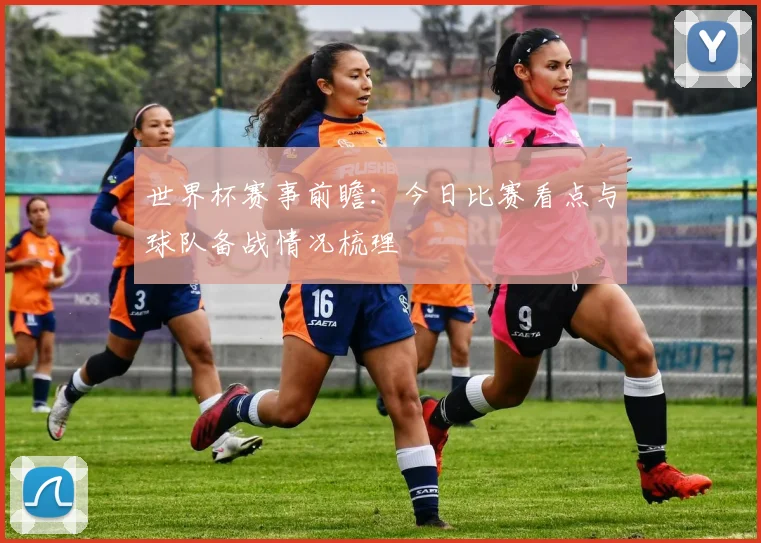 世界杯赛事前瞻:今日比赛看点与球队备战情况梳理