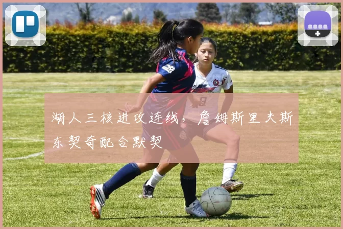 湖人三核进攻连线，詹姆斯里夫斯东契奇配合默契