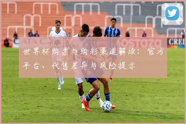 世界杯购票与购彩渠道解读：官方平台、代售差异与风险提示
